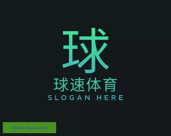 了解球速体育
